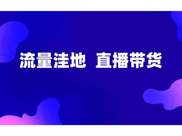正播網(wǎng)紅直播帶貨，新的流量洼地！